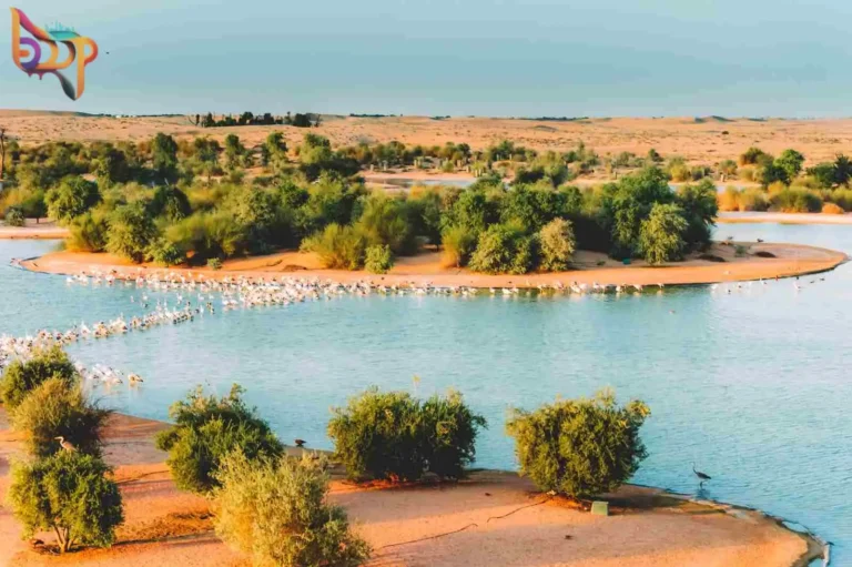 Al Qudra Lake Image